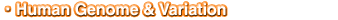 Human Genome & Variation